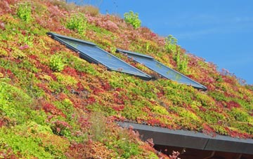 Pulham living roof systems