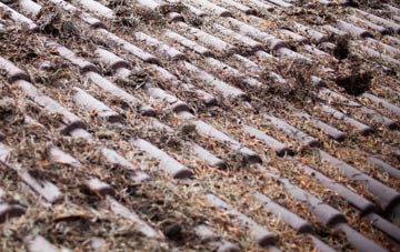 Pulham roof cleaning companies