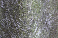 Pulham fibreglass roof work